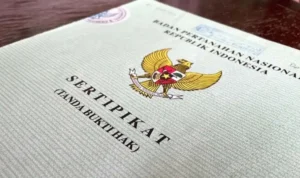 Cara Mengurus SHM, Legalitas Penting untuk Kepemilikan Tanah