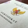 Cara Mengurus SHM, Legalitas Penting untuk Kepemilikan Tanah