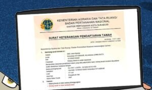 BPN