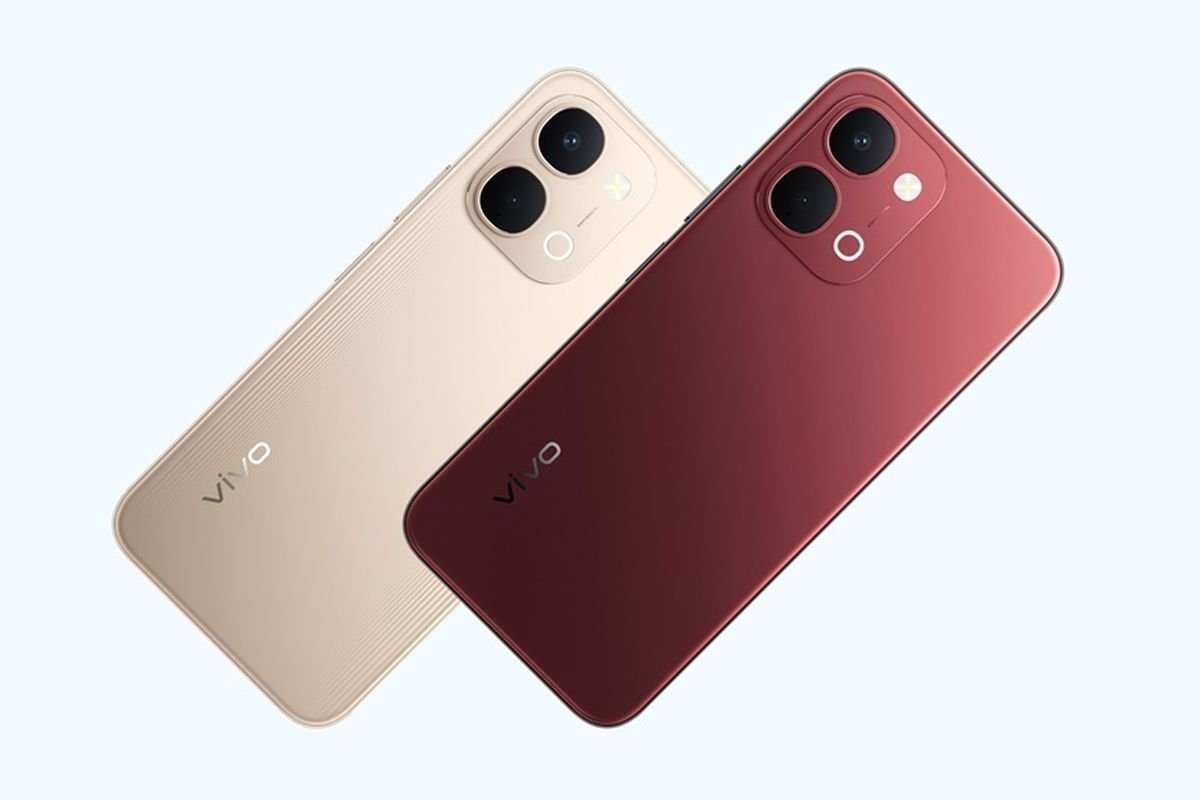 Vivo